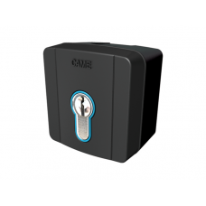 Came SELD1FDG - External key-switch selector with blue Came SELD1FDG - External key-switch selector with blue