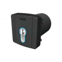 Came SELD2FDG Recessed Keyswitch